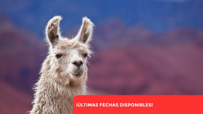 SALTA LA LINDA AEREO - VERANO 2026