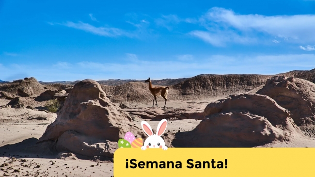 SEMANA SANTA: SAN JUAN EN BUS 🚍