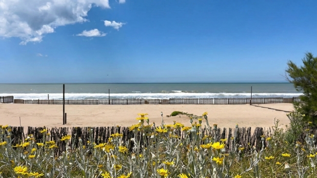 VILLA GESELL EN BUS 🚍