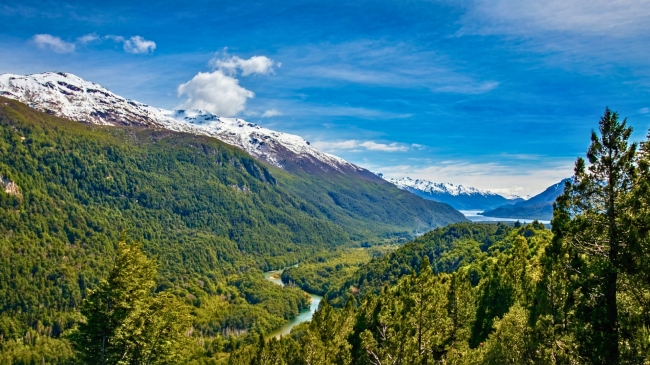 PATAGONIA AUSTRAL Y BOSQUES ANDINOS EN BUS 🚍