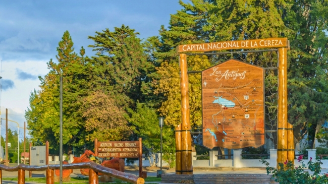 PATAGONIA AUSTRAL Y BOSQUES ANDINOS EN BUS 🚍