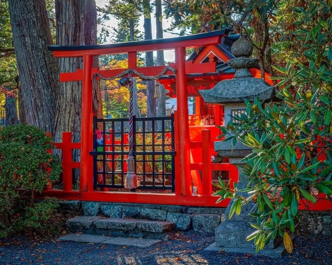 PAQUETE TESOROS DE COREA Y JAPON