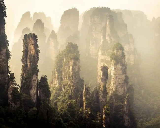 PAQUETE TENDENCIAS DE CHINA