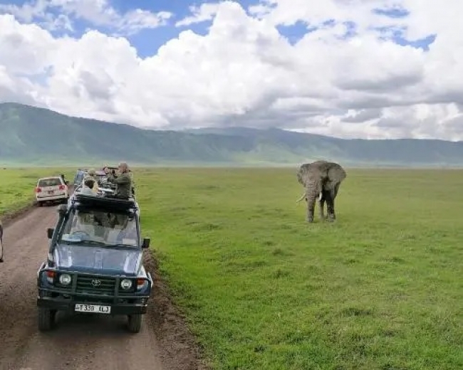 PAQUETE SAFARI TOTAL EN KENIA & TANZANIA
