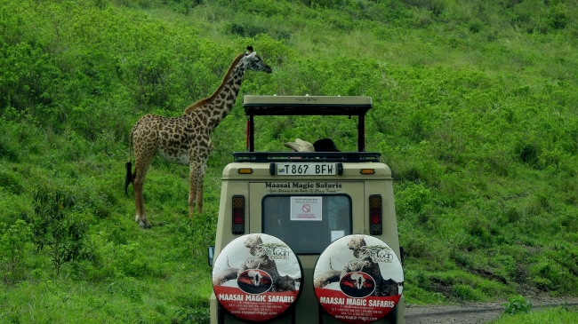 PAQUETE SAFARI TOTAL EN KENIA & TANZANIA