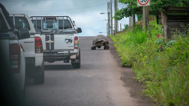 PAQUETE DESCUBRI ECUADOR