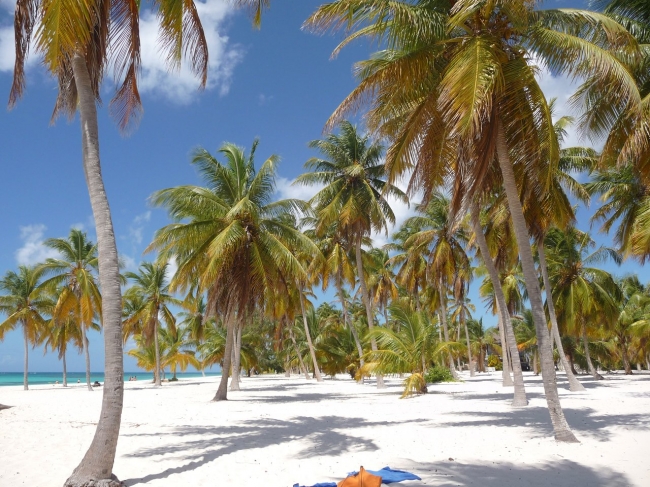 PAQUETE BAYAHIBE / LA ROMANA - HOT WEEK🔥🔥