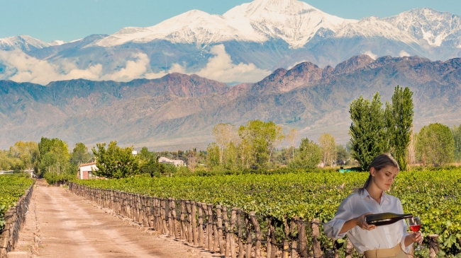MENDOZA EN BUS - TEMPORADA BAJA