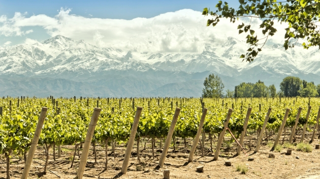 MENDOZA EN BUS - TEMPORADA BAJA