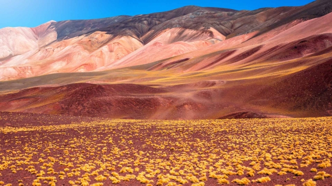 PAISAJES DE CATAMARCA EN BUS - TEMPORADA BAJA