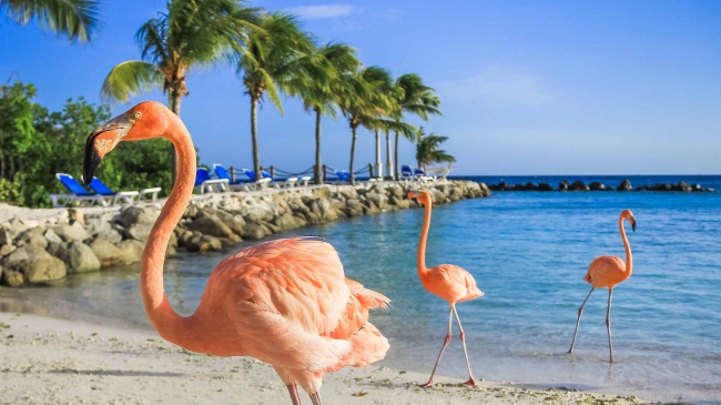 CURACAO & ARUBA 