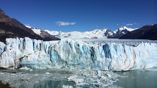 CALAFATE