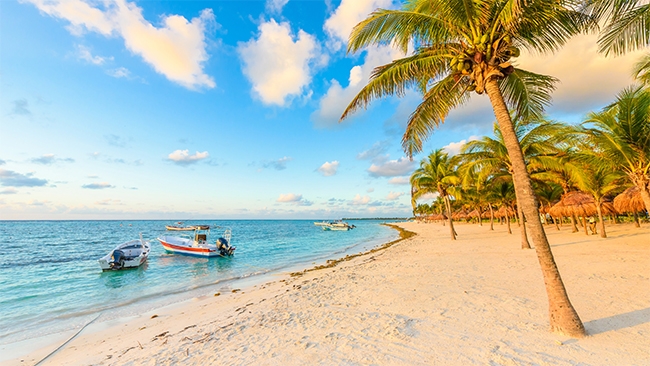 RIVIERA MAYA TEMPORADA BAJA