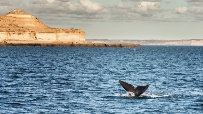 PUERTO MADRYN
