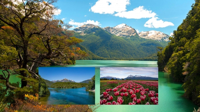 ESQUEL 