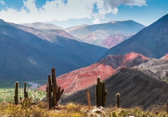 COLORES DEL NORTE EN BUS