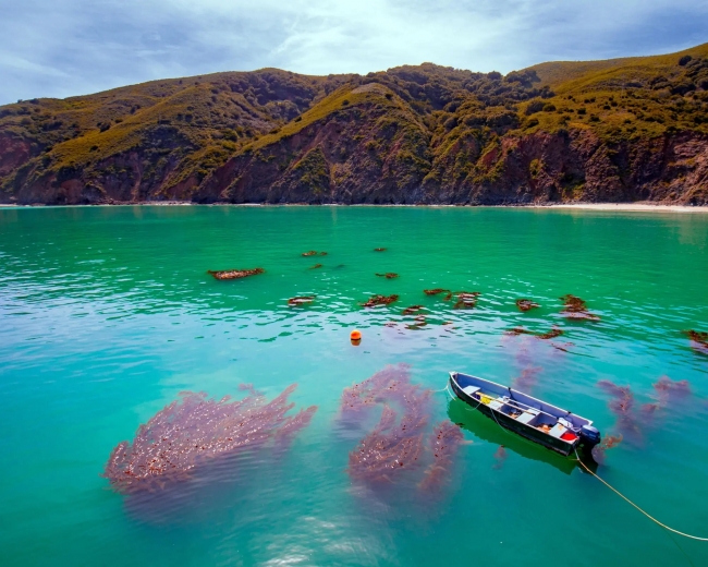 PAQUETE SUE�OS DEL OESTE