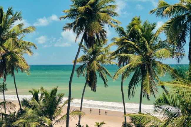 PRAIA DO FORTE AEREO - VERANO 2026