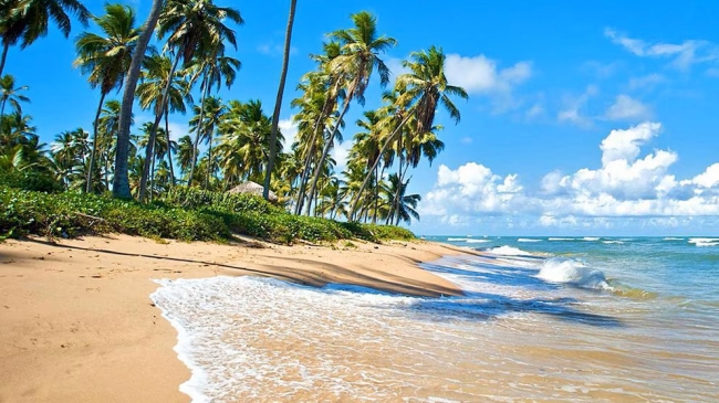 PRAIA DO FORTE AEREO - VERANO 2026