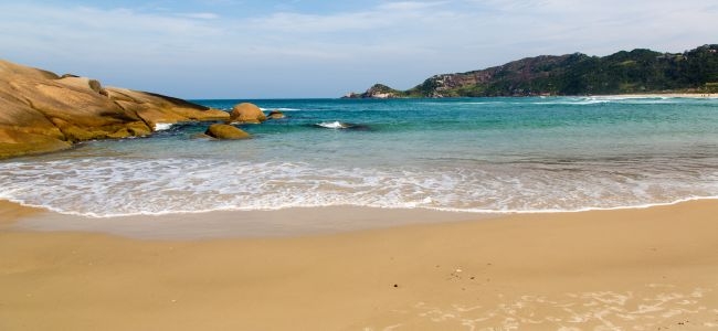 PLAYA INGLESES EN BUS - VERANO 2026