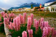  CALAFATE & USHUAIA EN AVION 