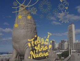 MAR DEL PLATA EN BUS - AO NUEVO