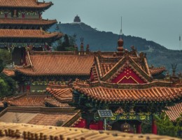 PAQUETE TENDENCIAS DE CHINA