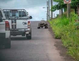 PAQUETE DESCUBRI ECUADOR