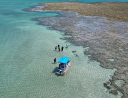 🔥Encamino Sale🔥- Paquete a Maragogi