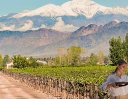MENDOZA 