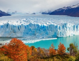 CALAFATE