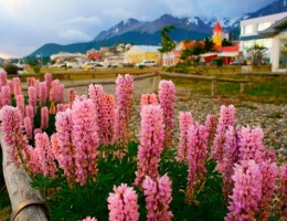  CALAFATE & USHUAIA EN AVION 