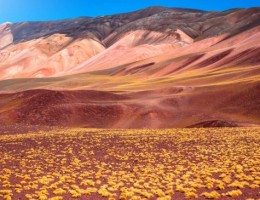 POSTALES DE CATAMARCA CON AEREOS 