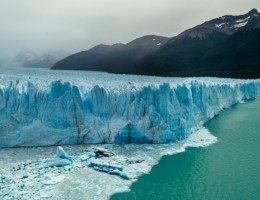 CALAFATE