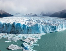 CALAFATE  JUNIO