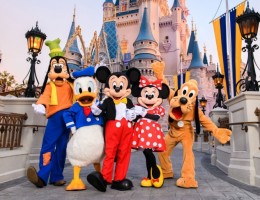 WALT DISNEY WORLD RESORT
