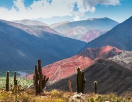 COLORES DEL NORTE EN BUS - TEMPORADA BAJA