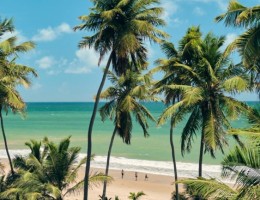 PRAIA DO FORTE - VACACIONES DE INVIERNO